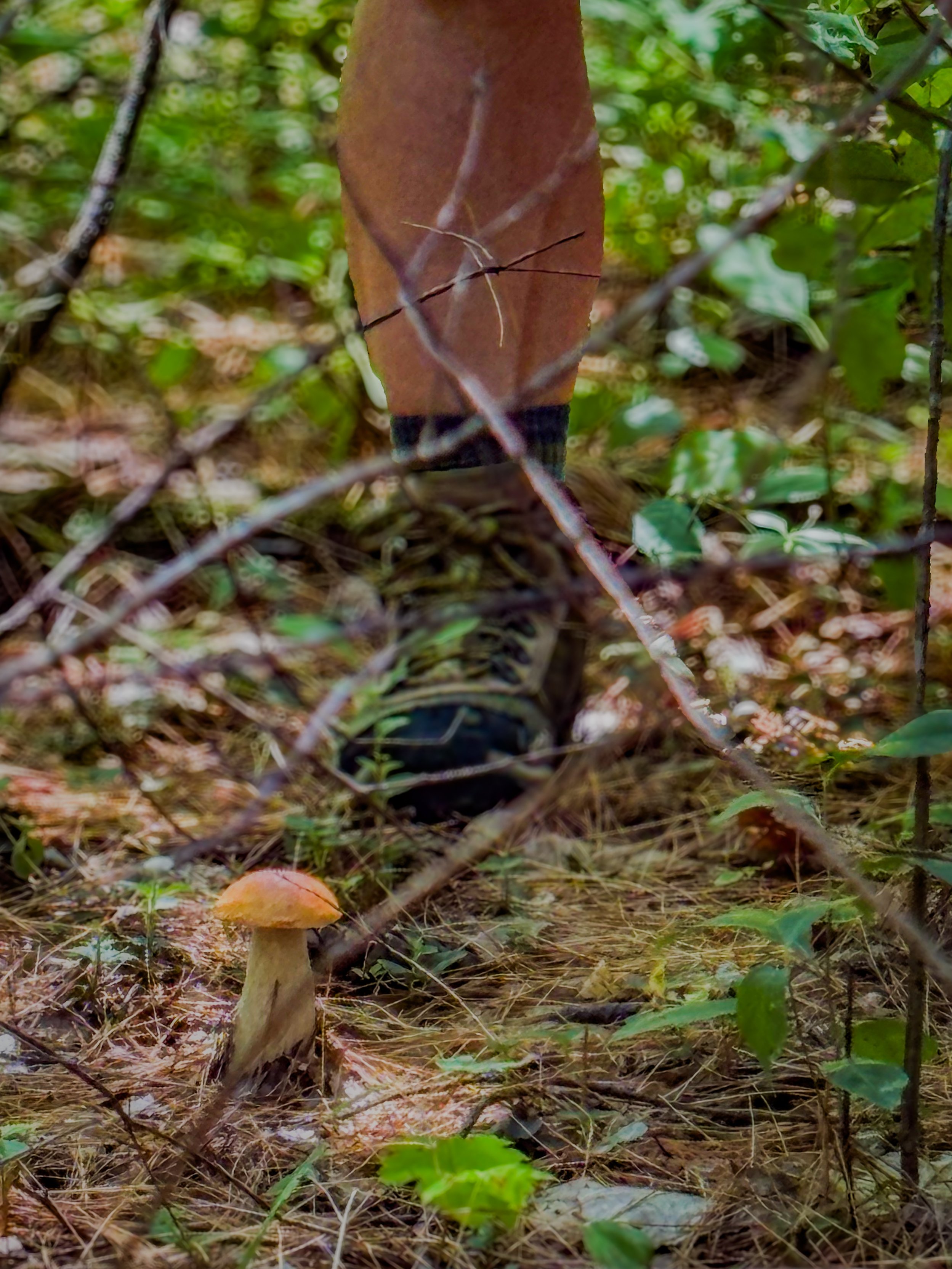 IMG_0751